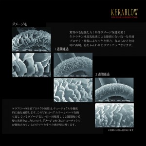 guide